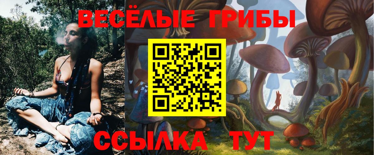 Галлюциногенные грибы Cubensis Кушва