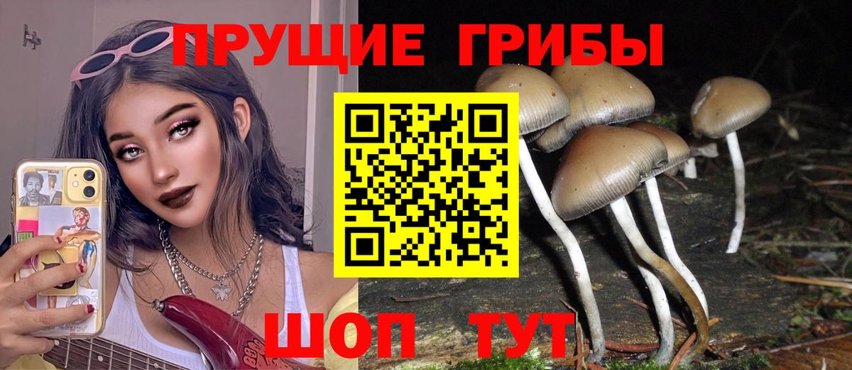 наркота  Вход с VPN  Кушва  Псилоцибиновые грибы ЛСД 